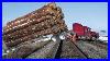 Dangerous_Fastest_Chainsaw_Tree_Felling_Logging_Wood_Truck_U0026_Wood_Sawmill_Machines_Operator_Skil_01_zdd
